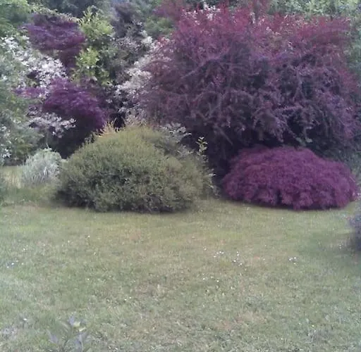 度假居 Les Collines *